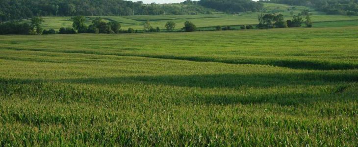 Unveiling Iowa Land Buyers: Navigating the Heartland’s Real Estate Landscape